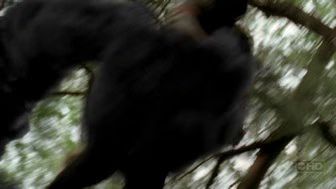 lost-01-2006-11-01.avif