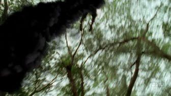 lost-01-2006-11-01.avif