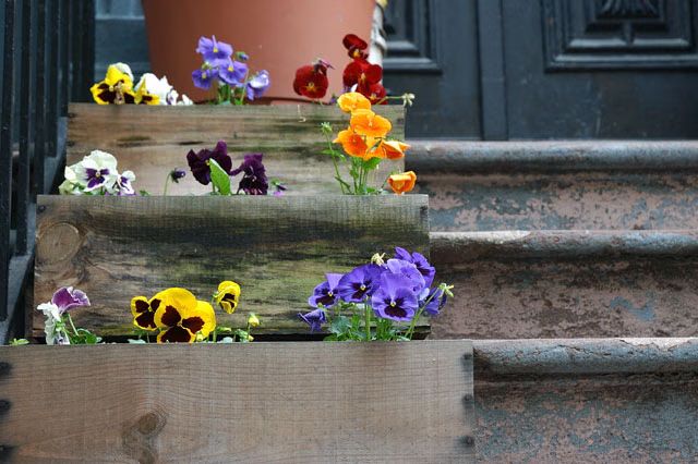 042905dsc_0007