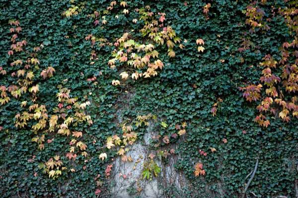 20051102dsc_0074