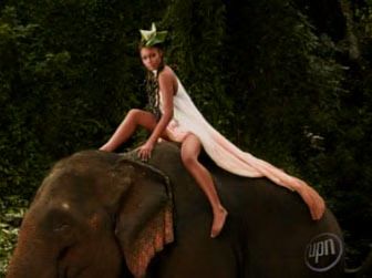 antm-01-2006-5-3.avif