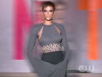 antm-01-2006-10-04.avif