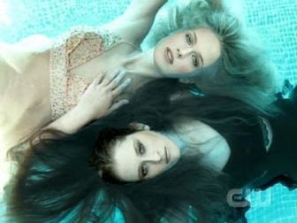 antm-02-2006-11-29.avif