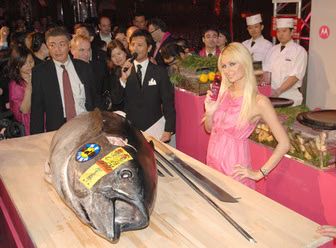 paris-hilton-01-2006-12-29.avif