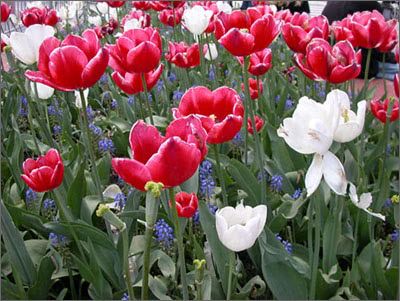 DSCN2489