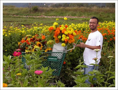 flowercutter090104