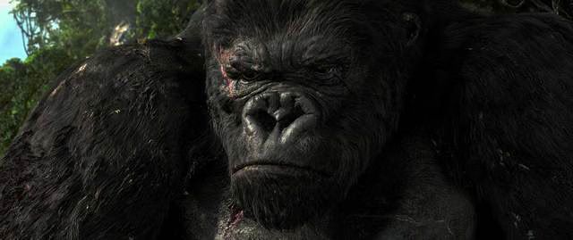 Kingkong7