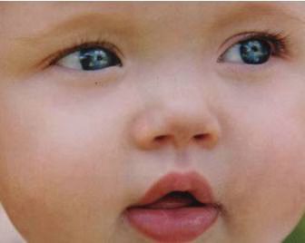 Shiloh Nouvel