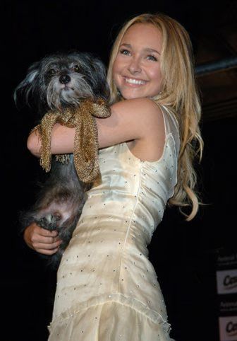 Hayden Panettiere