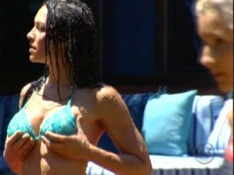 Big Brother 8