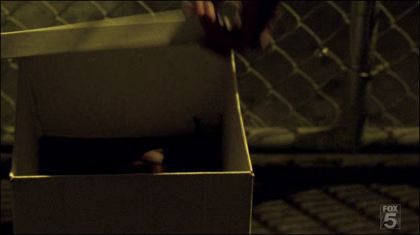 Prison Break Box