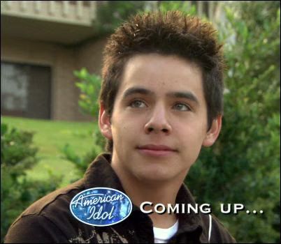 David Archuleta American Idol