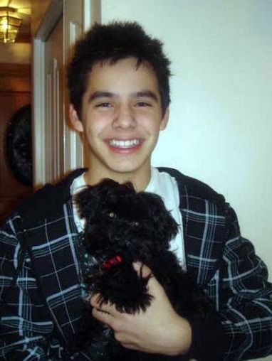 David Archuleta American Idol