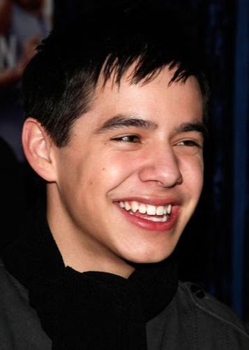 David Archuleta American Idol Winner