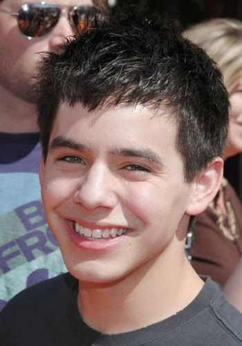 David Archuleta American Idol