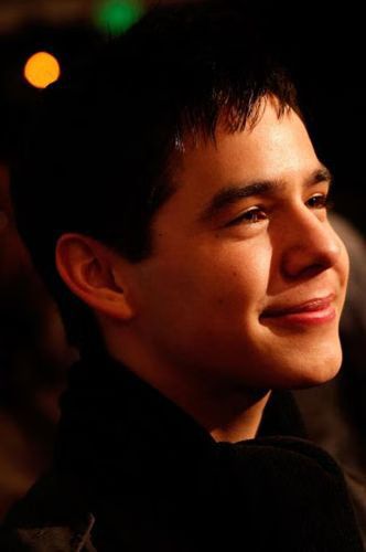 David Archuleta American Idol Winner