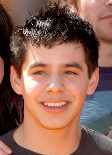 David Archuleta American Idol