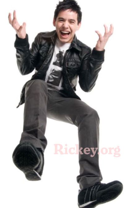 David Archuleta American Idol