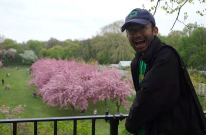 Rickey Cherry Blossoms