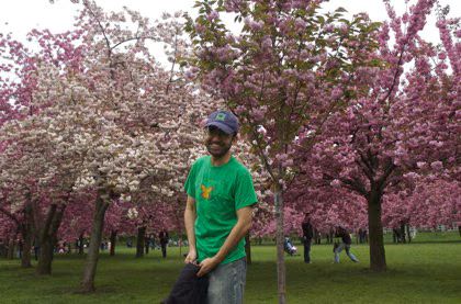 Rickey Cherry Blossoms