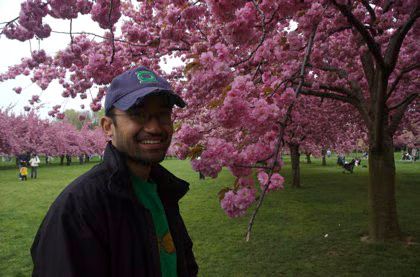 Rickey Cherry Blossoms