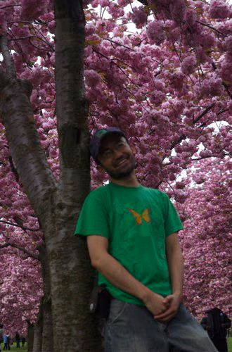 Rickey Cherry Blossoms