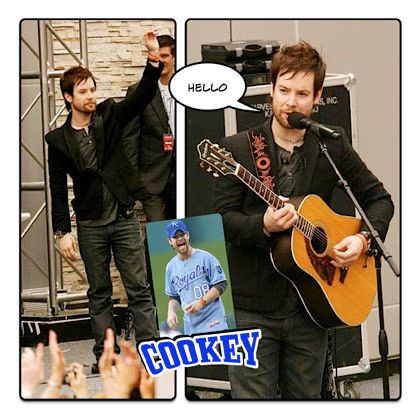 David Cook