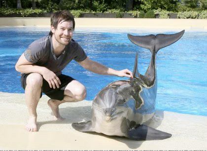 David Cook