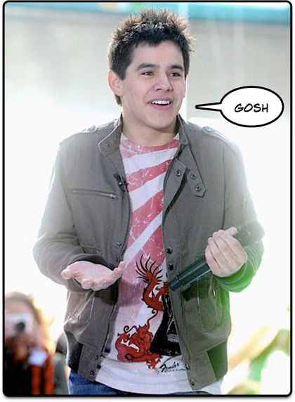 David Archuleta