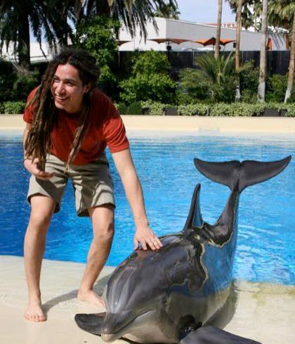 Jason Castro Dolphin