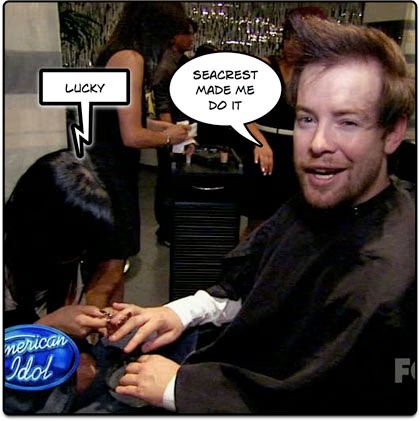 David Cook