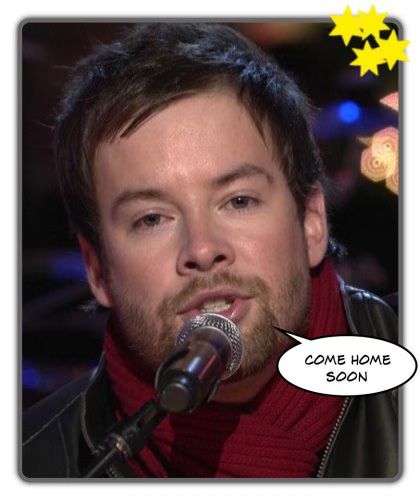 David Cook