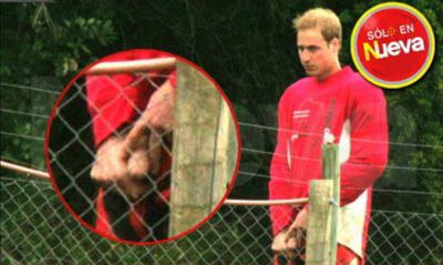 Prince William Penis