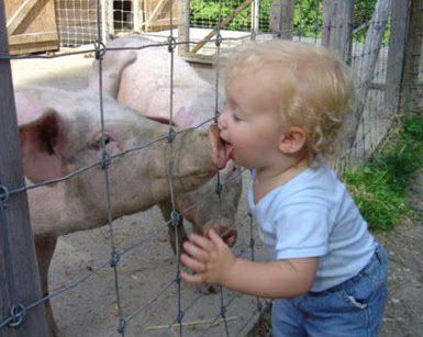 how-to-get-swine-flu-01-2009-04-26.avif