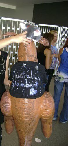 kangaroo-adam.avif