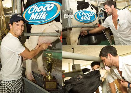 mark-maks-milk.avif