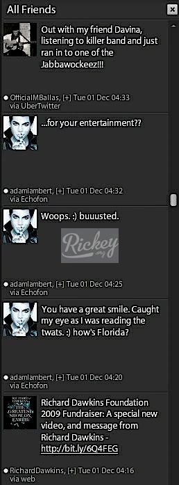 Adam Lambert Flirting With Fan.jpg
