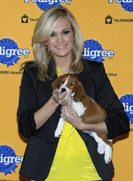 Carrie Underwood 02-2010-04-02.jpg