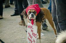 Antoine Dogson.jpg