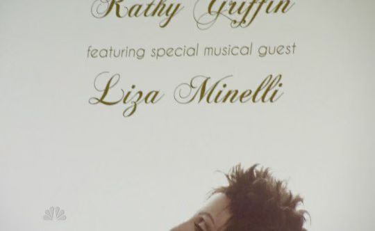 Apprentice Liza Minnelli 01-2010-12-02.jpg