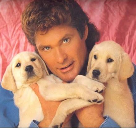 David Hasselhoff Britain's Got Talent.jpg