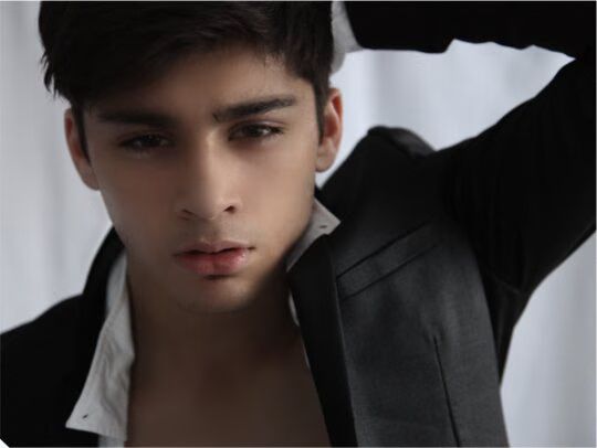 Zayn Malik Pictures.png