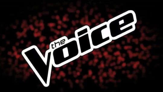 The Voice Casting Promo 01-2011-01-04.jpg