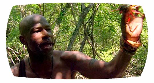 Survivor Phillip.avif