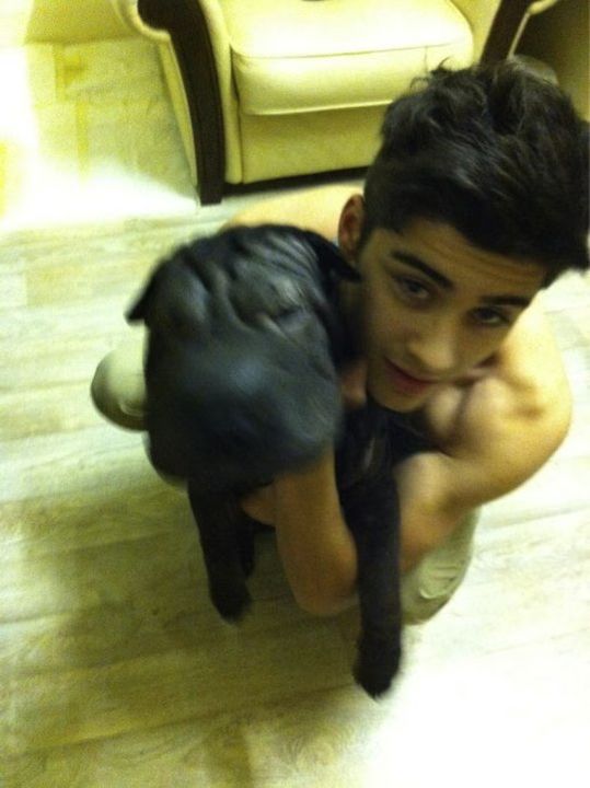 Zayn Malik Puppy 02-2011-02-09.jpg