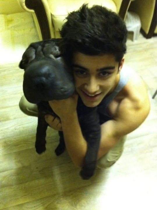 Zayn Malik Puppy 03-2011-02-09.jpg