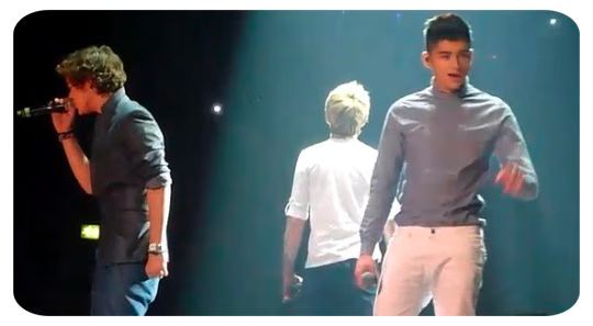 One Direction Video Diary 1