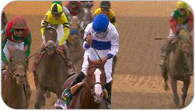 Shackleford beats Animal Kingdom at 2011 Preakness Stakes