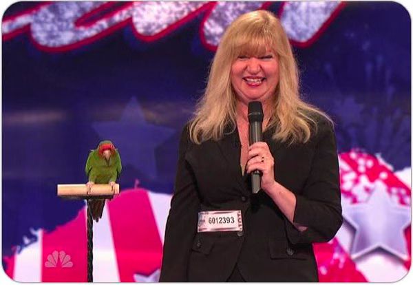 Vegas Birds  Talking Parrot  America s Got Talent