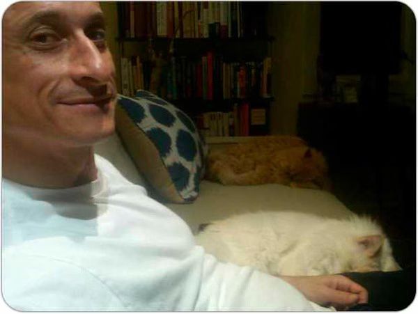 Anthony Weiner Pussys